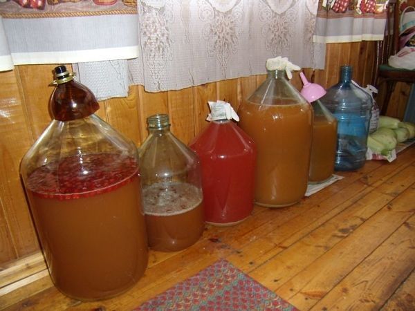 Брага из варенья своими руками 724 Брага из варенья своими руками 679