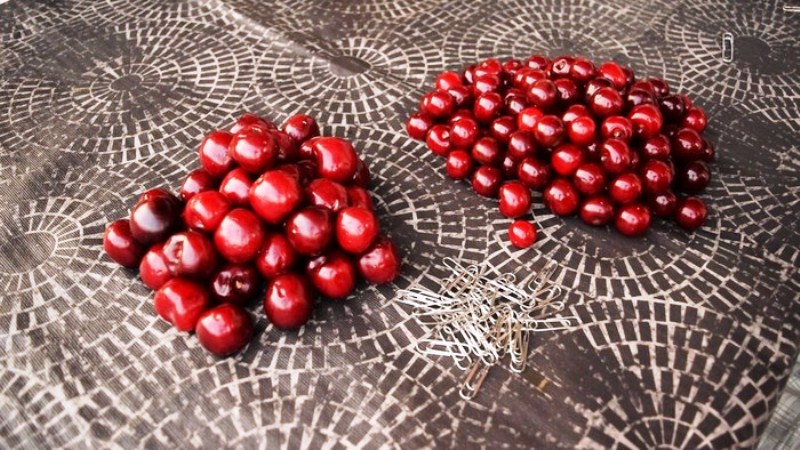 Поделки из косточек от вишни Поделки из косточек от вишни